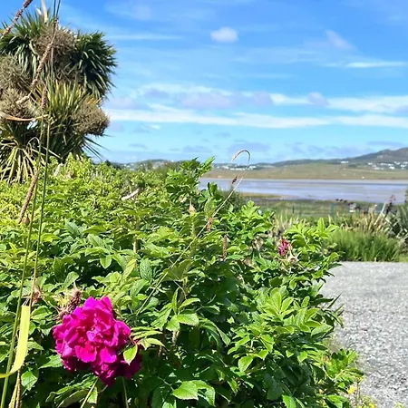 Дом отдыха Marys House