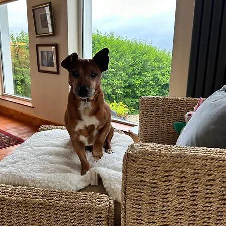 Holiday home Marys House