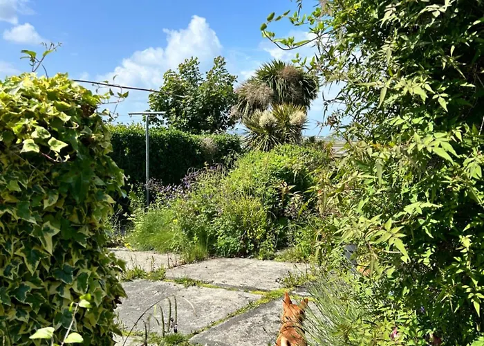 Marys House Tatil Evi Carrigart