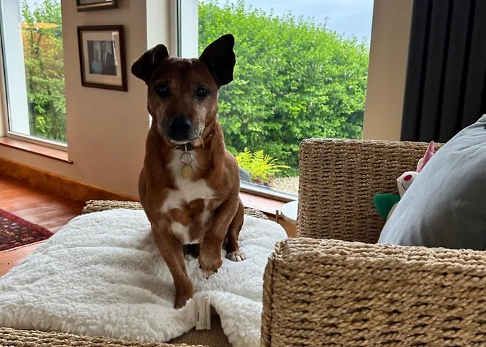 Tatil Evi Marys House